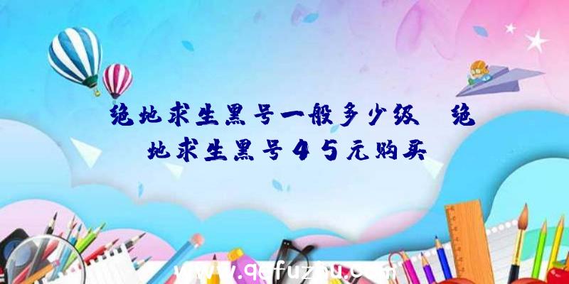 「绝地求生黑号一般多少级」|绝地求生黑号45元购买